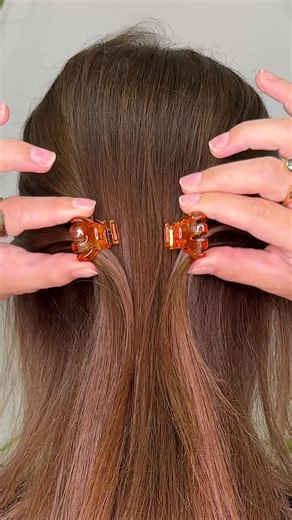 Meet the clips that change everything: ✅ Strong magnetic hold – no slipping, no tugging ✅ Sleek, seamless design ✅ Double the style power with 2-in-1 looks Endless hairstyles, zero hassle. | DAFNI