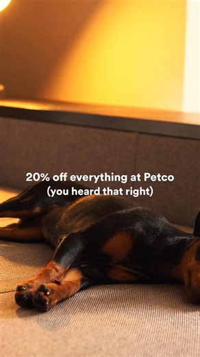 ALERT! Last chance to save BIG! 20% OFF everything* ends 10/19. Spend $40, stock up & enjoy the discount. What will you buy first? Shop now and start saving! | Petco