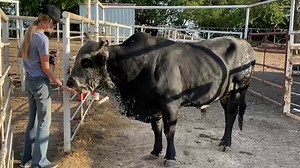 1.6M views · 33K reactions | The most common misconception of the...