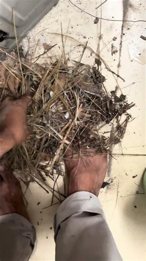 Window, AC installation and uninstall ation, #technician #repairer #hardwork #windowac