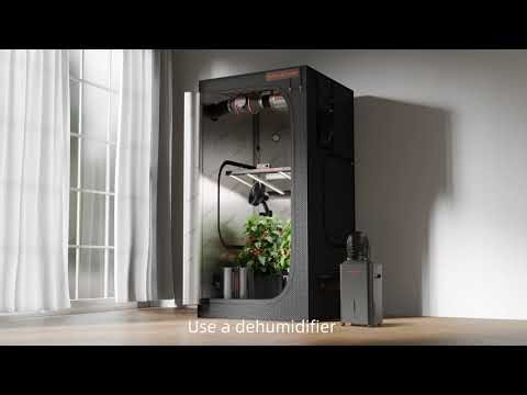 Winter Indoor Growing Solutions: Control Humidity & Temperature with Ease | Spider Farmer