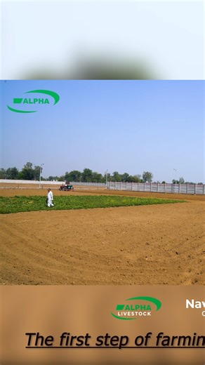 Alpha Livestock | Preparing the Land for Fresh Vegetable Farming 🌱🚜 Youtube Channel : https://youtube.com/shorts/C_n9jwPp9dc?si=Isa7oqQpHpTFEsxd . At Alpha Livestock and Alpha Farmhouse, we prepare our land with care and dedication to grow fresh, organic vegetables. 🌱🚜 Watch how our team gets the soil ready — the first step toward a healthy harvest! . #alphalivestock#livestock#tractor#viralphotochallenge#reelschallengereelschallenge#trendingpost#shortsvideos#goats#animals#agriculture#agricul