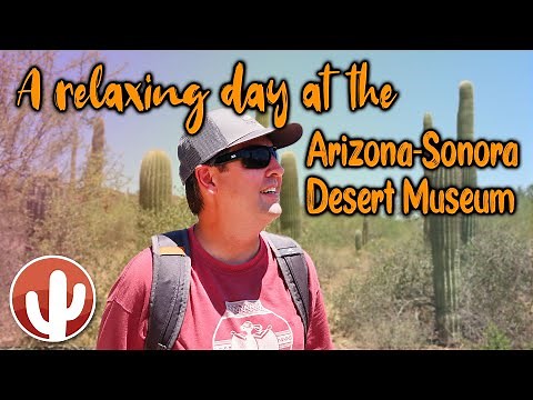 Arizona-Sonora Desert Museum | Tucson, AZ (2019)