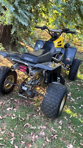 #banshee #banshee350 #motor #parati