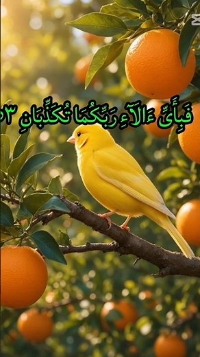 Surah Al Rahman Quran Recitation | Beautiful & Relaxing Holy Quran Tilawat