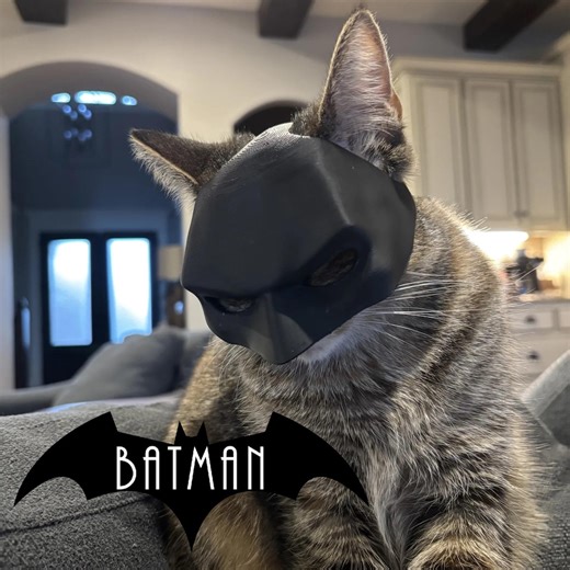 Batman Mask for Cat, Funny Costume Accessories for Cats, 3D Printed, Batcat, Supercat - Etsy