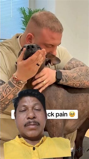 Dogs with neck pain #animals #viral #funny #comedy #trending 🐕‍🦺🚶‍♂️