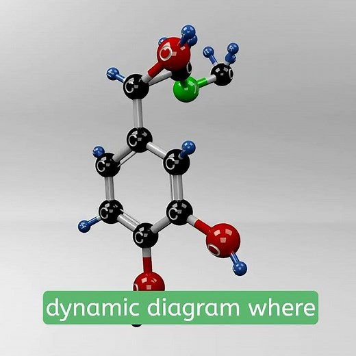 Understanding Adrenaline: Molecular Structure & Biological Role _ Grade 8 Science