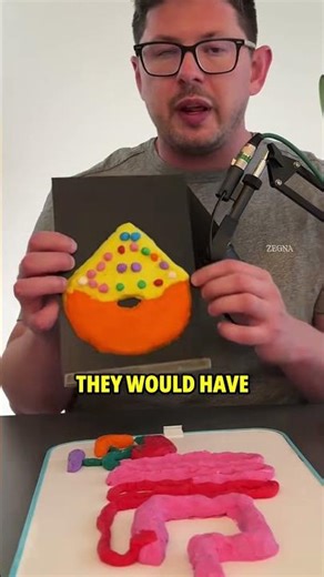 Candida 101 - Good luck getting better if you don't know this!