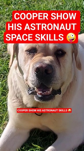 COOPER SHOW ASTRONAUT SKILLS FOR SPACE ADVENTURES