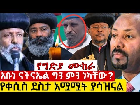 ⭕️የአርሲው ቄስ ደስታ አሟሟት - አቡነ ናትናኤል እና አቡነ አቡነ ያሬድ❌ ስውሯ ማርያም