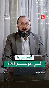 مسؤول في وزارة الزراعة يكشف حجم إنتاج القمح ويُفسر أسباب زيادته