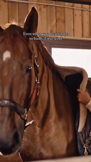 203K views · 7.2K reactions | I think one of the most valuable...