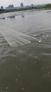 😲😲😱 #amazingfish #netfishing #fisherman #netflix #cr7 #fishingday #fishinggame | Al