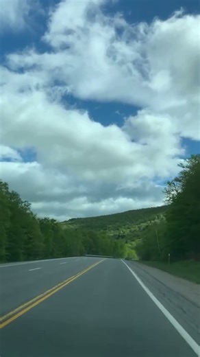 On the Way to Mount Washington Road | Scenic Green Views Drive 🌲🚗