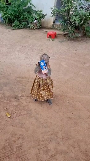 5.8K views · 226 reactions | Busy With Milk 拏 is Shally | YaYa Family | Facebook