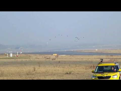 Purivox Bird Control Gas Cannon - Bird Scaring Airport