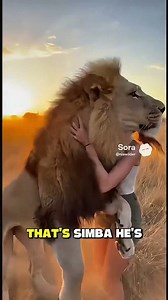 A Lion Ran at Her… but What Happened Next Shocked Everyone