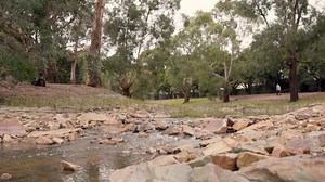 A section of a creek in Melbourne’s outer east, hidden away for more than half a century, has sprung back to life thanks to our Reimagining Your Creek program and project partners Knox City Council. Works to ‘daylight’ a 650-metre section of Blind Creek at Boronia between Scoresby Road and Manuka Drive are now complete, giving the community another fantastic natural space to explore. This is the latest project of our Reimagining your Creek program to be delivered, which aims to restore some of M