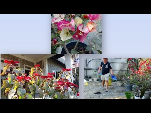 Team work 💪 All things are possible with God 😇 30-01- 2026