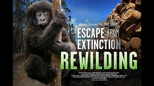 Escape from Extinction Rewilding