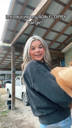 Meet My 40lb Floppy-Eared Basset Hound!