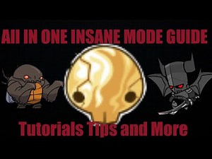 THE All In 1 Castle Crashers Insane Mode Guide (Including Tutorials and Game Mechanic Explanations)