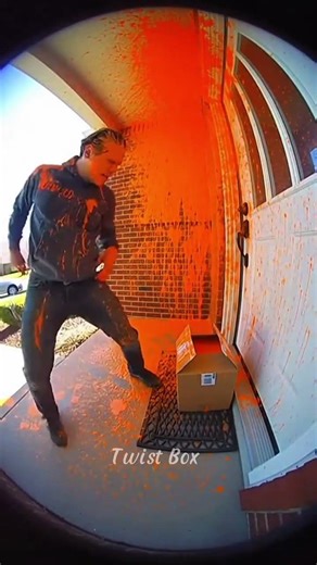 Twist Box | Every Delivery Has a Secret#TwistBox #DoorstepStories