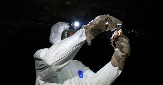 Searching for the next deadly virus, before it ignites another pandemic | 60 Minutes