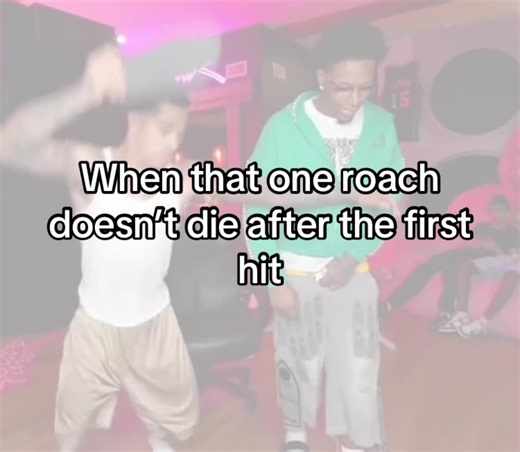 Dealing with Resilient Roaches in Your Home