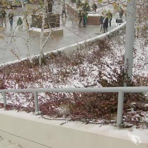 🧐 | Arizona Cardinals