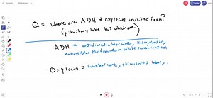 SOLVED:ADH and oxytocin are hypothalamic hormones secreted from the pituitary's  lobe. a. anterior b. posterior c. primary d. secondary
