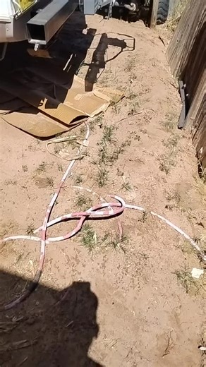 big back (@big.back7736)’s videos with original sound - big back