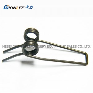 [Hot Item] Manufacturer Customized Free Design Electrical Torsion Spring for Washing Machine
