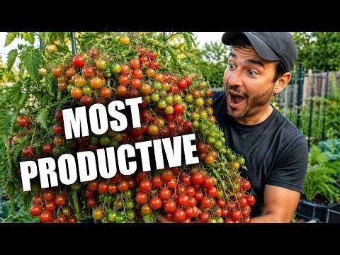 The 10 Most Productive Vegetables You Can Grow
