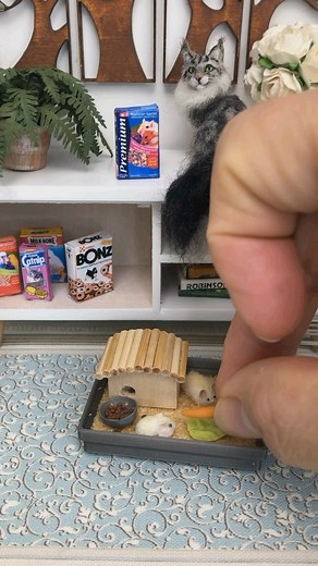 My Miniature Life on Instagram: "Have you ever owned a hamster? Do you like rodents or are you scared of them? We had quite a few hamsters as a child. In fact, the first one we brought home ended up having babies!! Oh that was quite the shock!! My mom purposely asked for a male... well, it was supposed to be a male!! 😆🤣😂 We named him... I mean her, Chopper 🐹 🍿 FOLLOW US: YOUTUBE/TIKTOK/FACEBOOK My Miniature Life ❤️ the two hamsters are from ginko305 on Etsy. ❤️ The cream flowers were handma