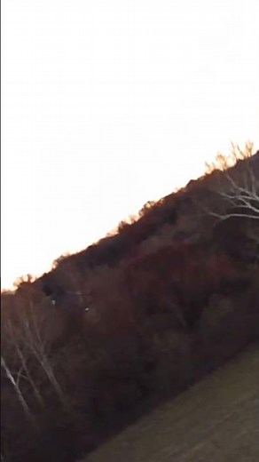 On Flight Footage on Fms Ranger 1220mm with rough landing.