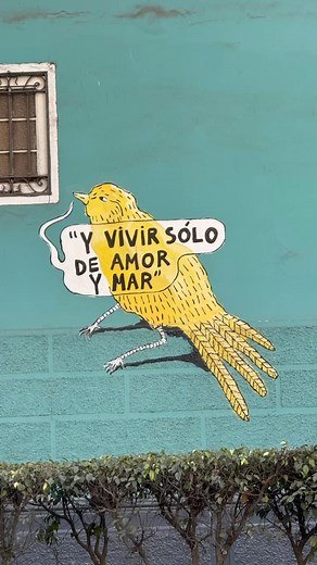 Why Barranco is Lima’s Coolest Neighborhood! Welcome to Barranco, Lima’s bohemian paradise! From its colorful murals to its cobblestone streets, this district is a vibe. Here’s why you can’t miss it: Puente de los Suspiros: Make a wish as you walk across the “Bridge of Sighs”—but don’t breathe until you reach the other side! 🌬️( That’s me walking across it at the start) Art Everywhere: From world-class galleries like MAC Lima to streets bursting with murals, Barranco is an art lover’s dream. Bo