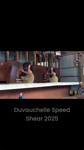 TikTok · Lallybroch Performance Horses
