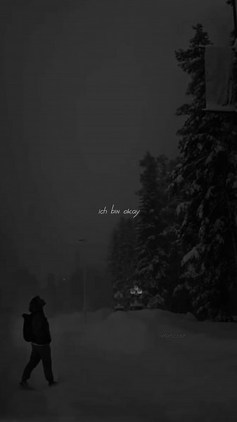 Ist schon okay.. #tjark#schonokay#fy#fypage#lyricsvideo#lyricsedit#lyrics