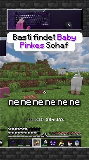 BastiGHG finds rare baby pink sheep #bastighg #ghg #ghgang