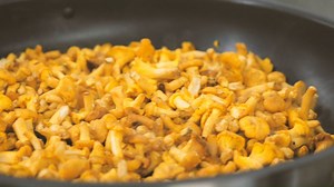 Unser nächstes Gericht aus der Kochserie mit Alexander Fankhauser 😊 Passend zur Jahreszeit gibt es heute ein Schwammerlgulasch. Wir haben für euch die Anleitung und wünschen gutes Gelingen 🤤 🎬Filmingpool.at | Best of Zillertal