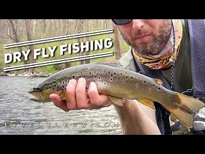 Grannom Caddis Dry Fly Fishing 2021