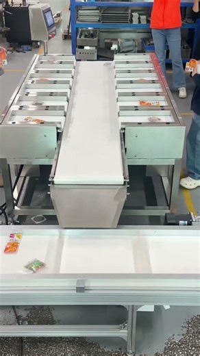 12-head Automatic Combination Weighing Machine for Target Weight#weightcheck