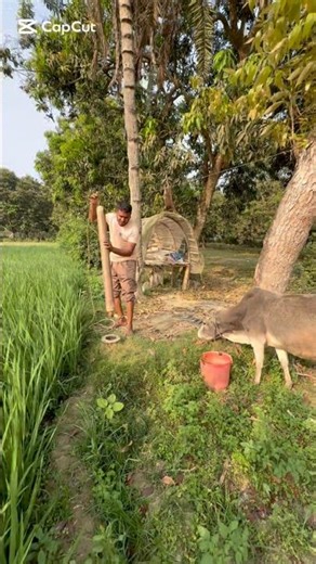 Oil pumping water from a deep tube well without electricity #newvideo #viralvideo #shortvideo