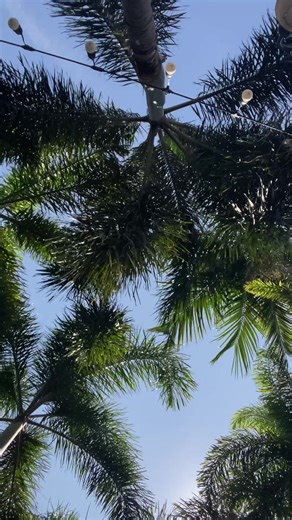 random friday in pattaya @nia | digital diary 🪷