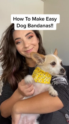 Easy way to make dog bandanas! 🐶 #fyp #fypシ #TikTokRecipe #doggroomer #doggroomerlife #howto #diy #doglover #foryou