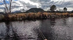 16 reactions | I think about the “Fishful Thinker” about every single time I’m on the water….. ❤️ | Fish On with Coach Steve | Facebook