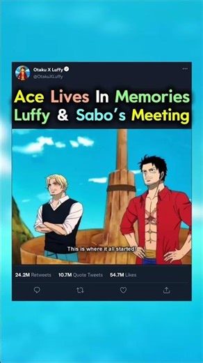 Luffy And Sabo Meets #shorts #onepiece #luffy