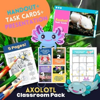 Axolotl Classroom Pack - 5 Activity Sheets | Task Cards & More!
